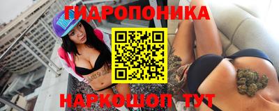 сатива Краснознаменск
