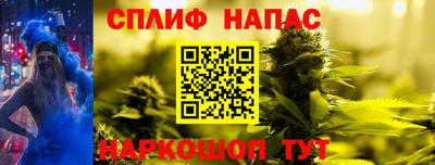 сатива Краснознаменск